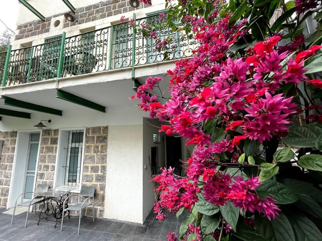 Berenice Winery Hotel Τιβεριάδα Εξωτερικό φωτογραφία