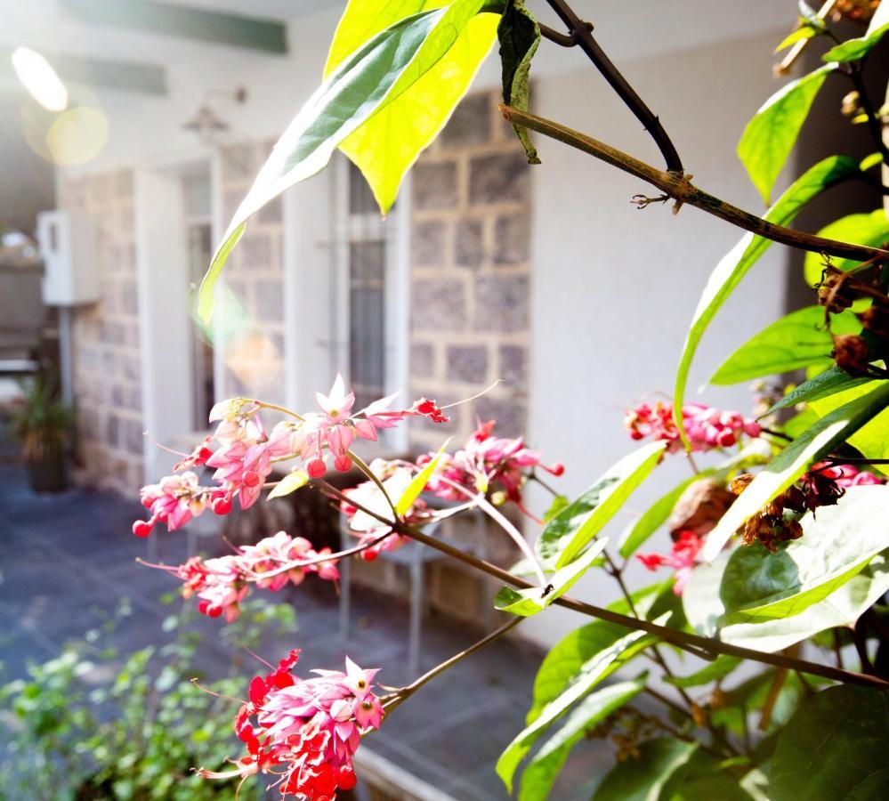 Berenice Winery Hotel Τιβεριάδα Εξωτερικό φωτογραφία