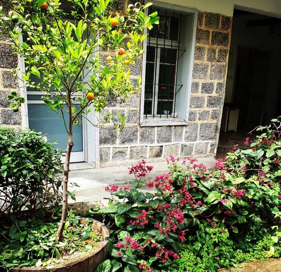 Berenice Winery Hotel Τιβεριάδα Εξωτερικό φωτογραφία