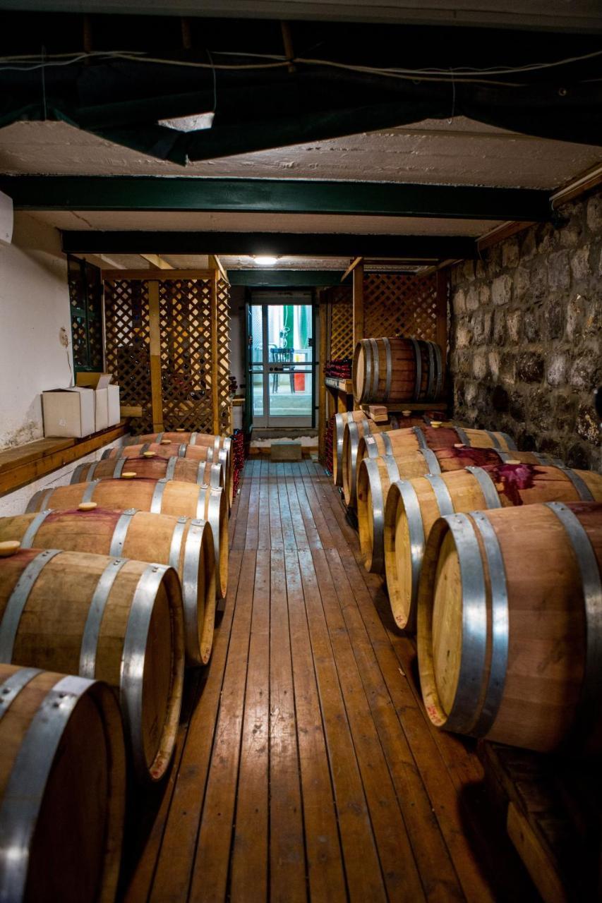 Berenice Winery Hotel Τιβεριάδα Εξωτερικό φωτογραφία