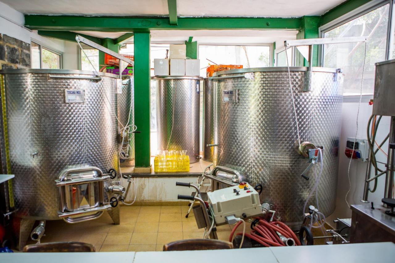 Berenice Winery Hotel Τιβεριάδα Εξωτερικό φωτογραφία